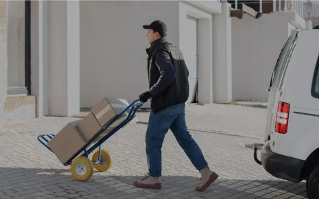 Distribución Brandstar